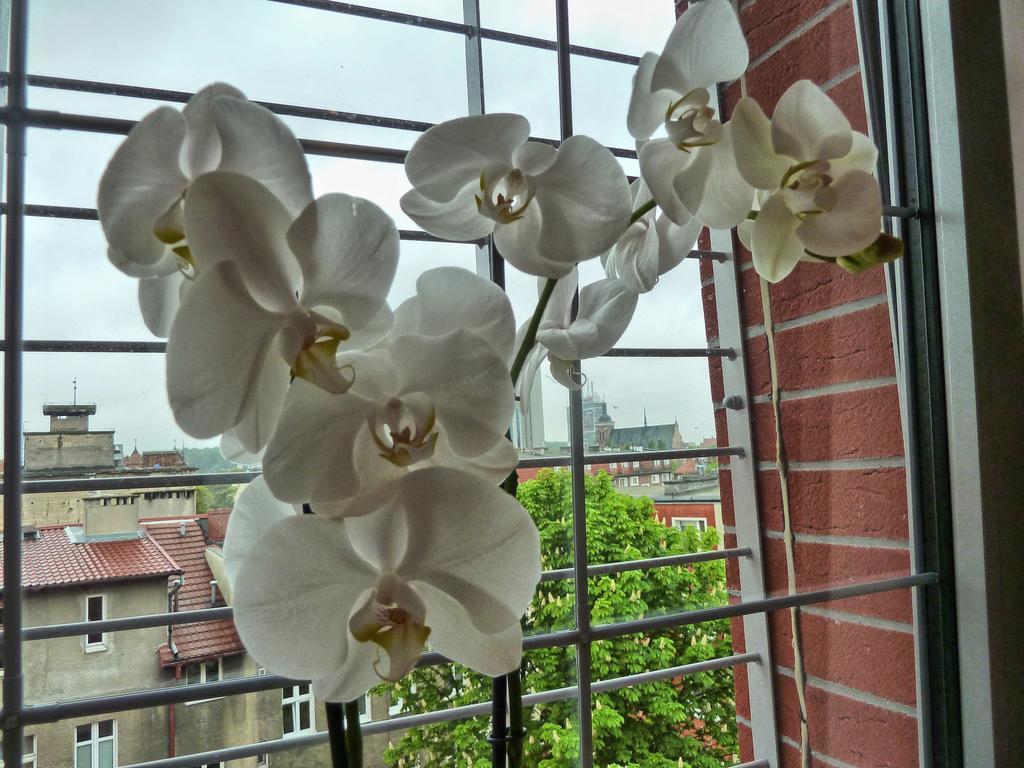 Tartaczna Deluxe Apartments Gdaňsk Pokoj fotografie